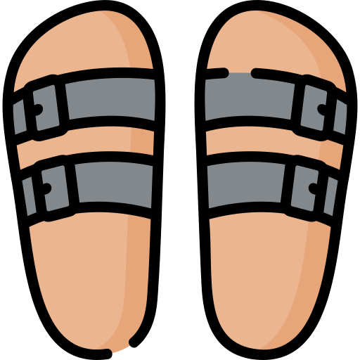 Sandals Special Lineal color icon