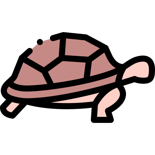 tortuga icono gratis