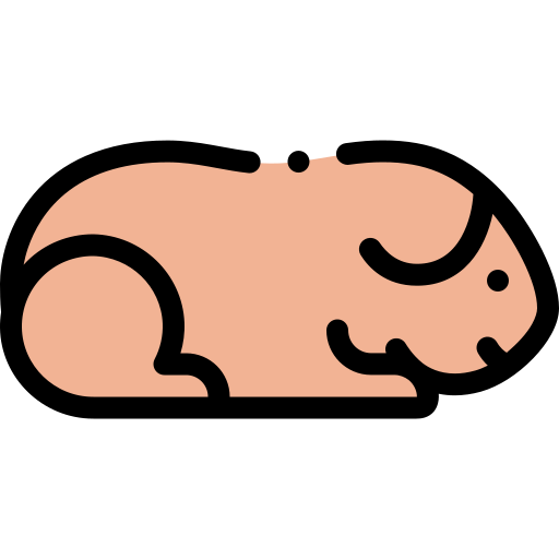 cochon d'inde Icône gratuit