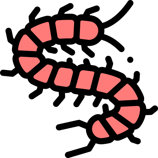 Scolopendra Detailed Rounded Lineal color icon