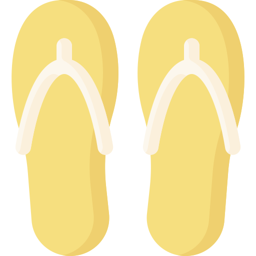 Flip flops Special Flat icon