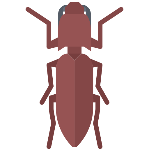 Beetle - free icon