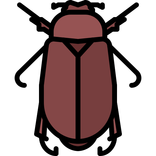 Beetle - Free animals icons