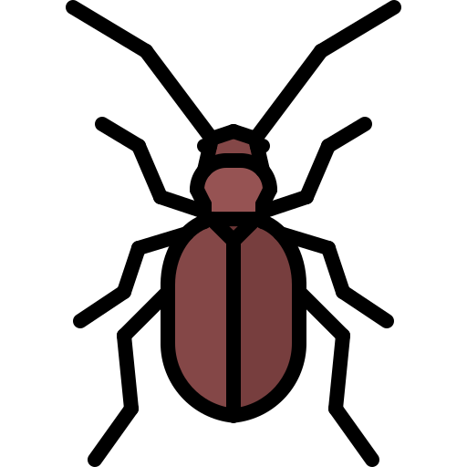 Beetle Coloring Color icon