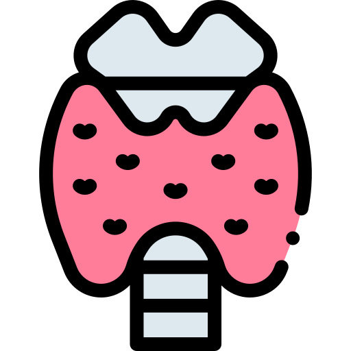 endocrine system clipart