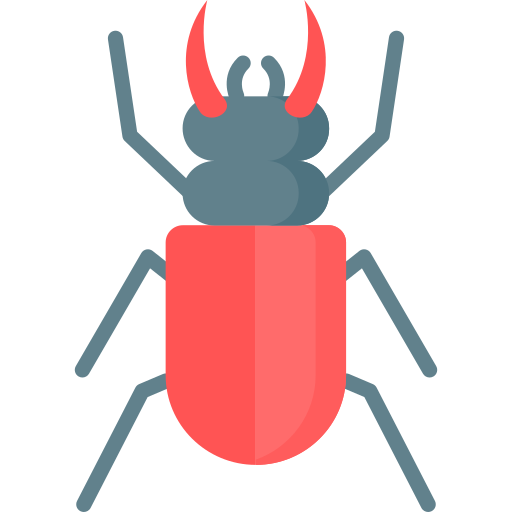 Beetle Special Flat icon