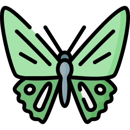 나비 무료 아이콘
