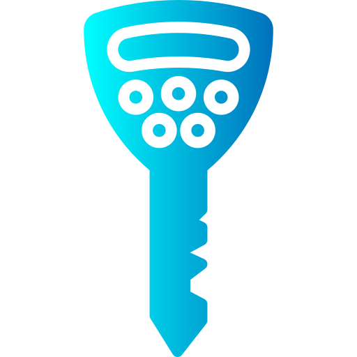 Digital Key - Free Icon