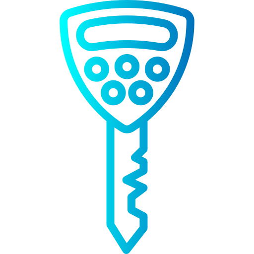 Digital key Generic Gradient icon