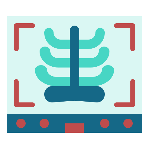 X ray free icon