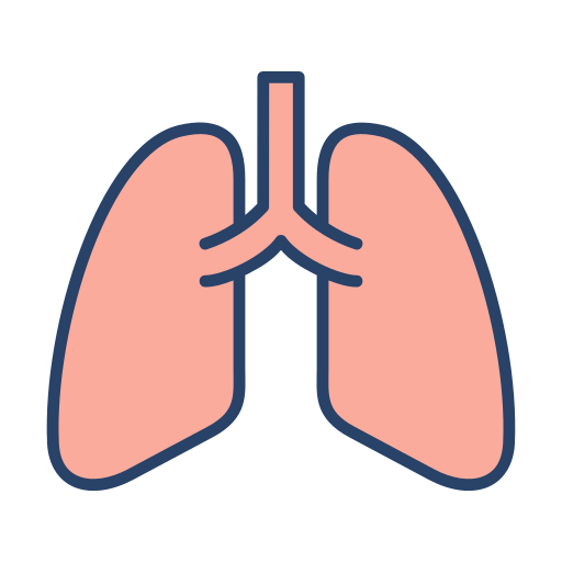 Lungs Generic Outline Color icon