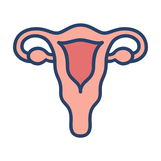 Uterus Generic Outline Color icon