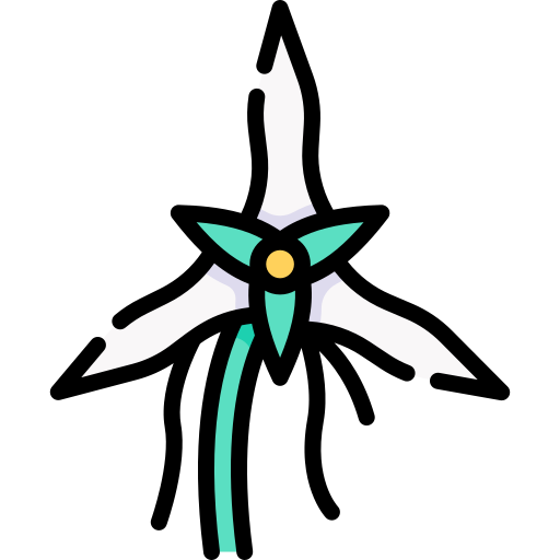 angraecum icono gratis