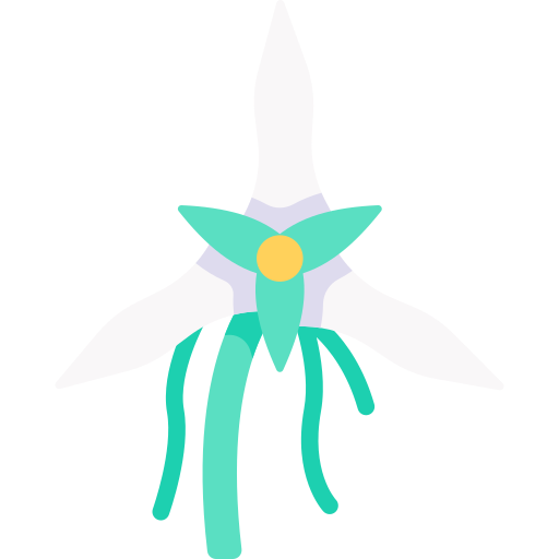 angraecum icono gratis