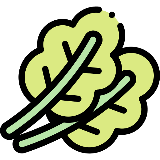 Salad free icon Salad free icon