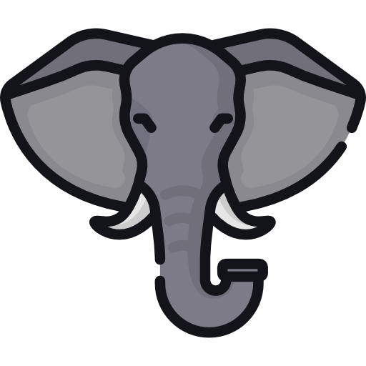 Elephant Special Lineal color icon