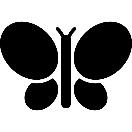vue de dessus de papillon Icône gratuit