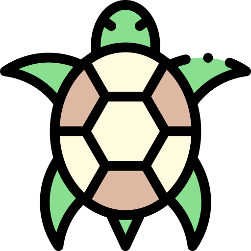 Turtle Detailed Rounded Lineal color icon