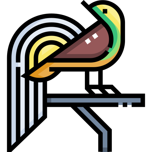 Bird of paradise free icon Bird of paradise free icon