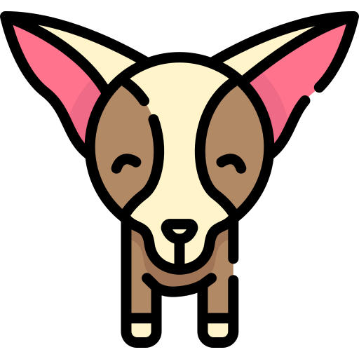 Chihuahua Special Lineal color icon