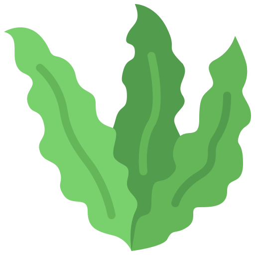 Seaweed Generic Flat icon