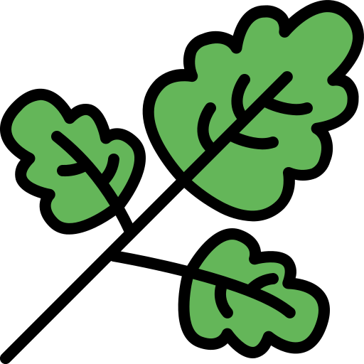 파슬리 무료 아이콘