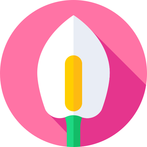 calla Icône gratuit