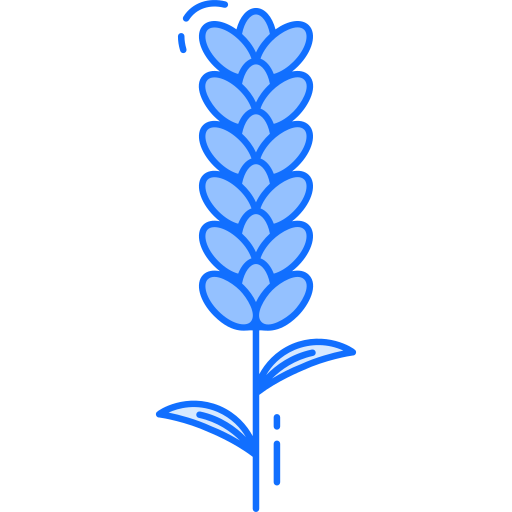 lavendel kostenlos Icon