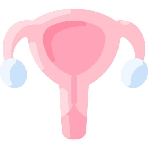 Uterus - Free healthcare and medical icons