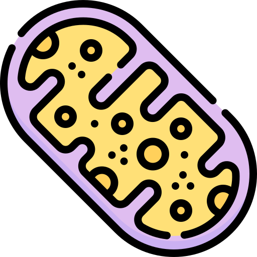 mitochondria clipart color