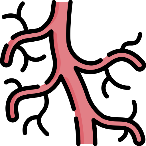 vascular icono gratis