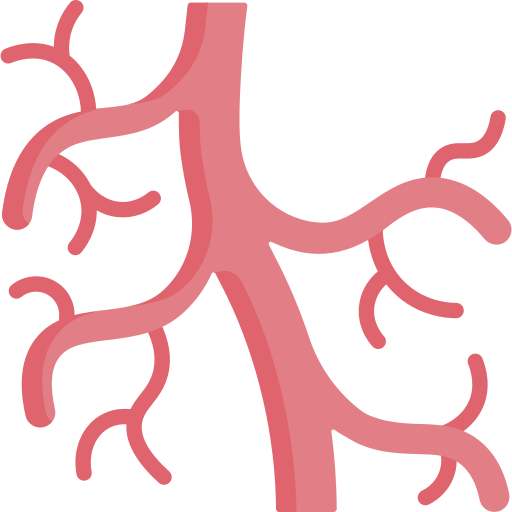 Vascular free icon Vascular free icon