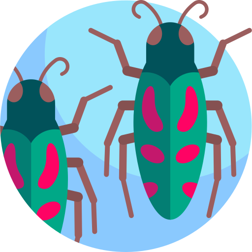 escarabajo buprestid icono gratis