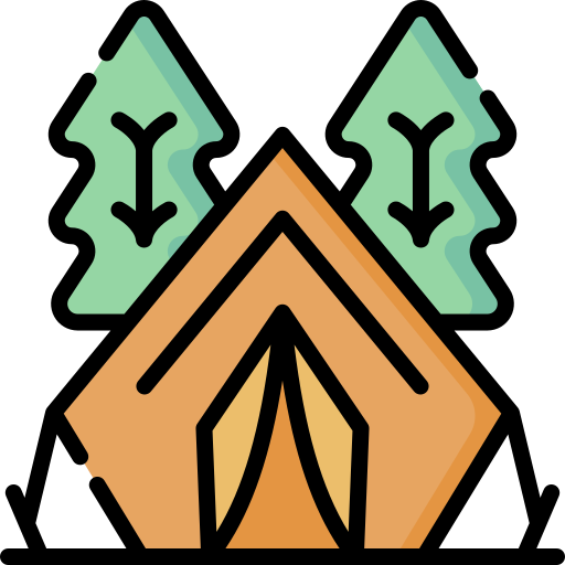 Camping Special Lineal color icon