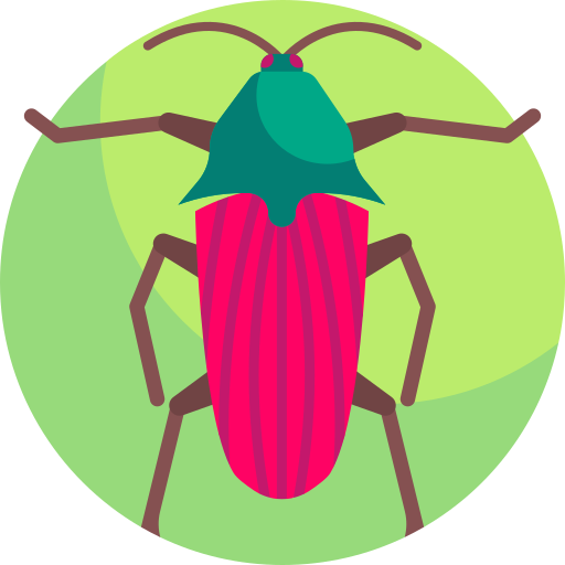 Snapping beetle - Free animals icons