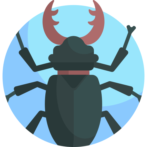 insecto icono gratis