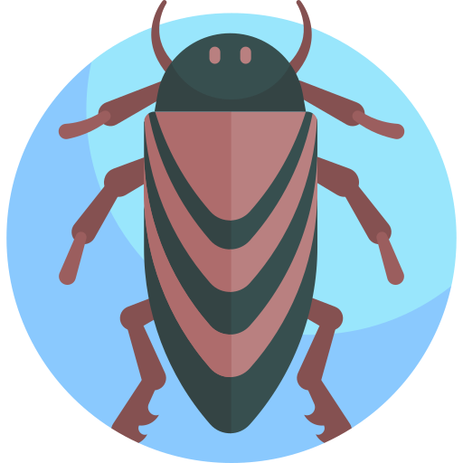 insecto icono gratis