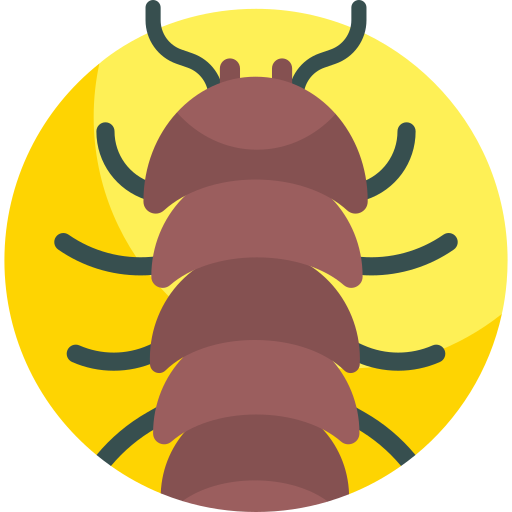 insecto icono gratis