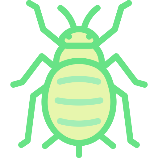 Aphid Detailed color Lineal color icon