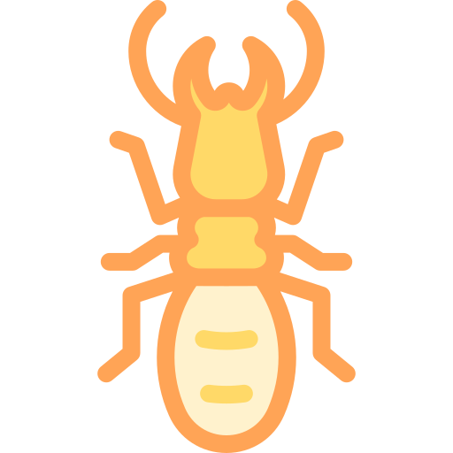 Termite Detailed color Lineal color icon