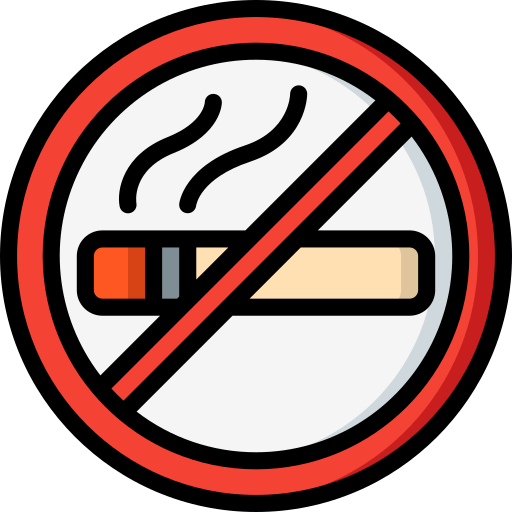 No smoking Basic Miscellany Lineal Color icon