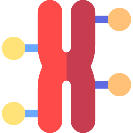 Chromosome - Free education icons