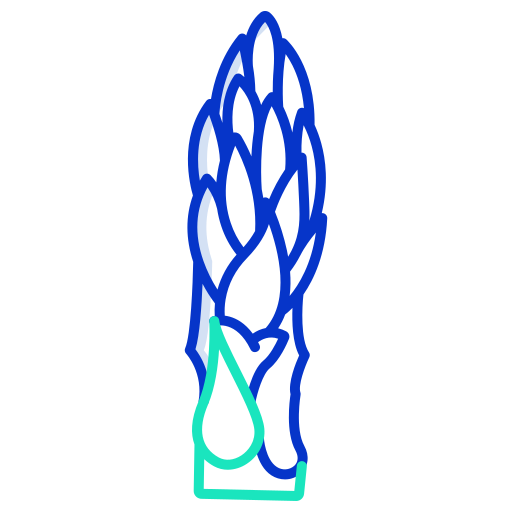 spargel kostenlos Icon