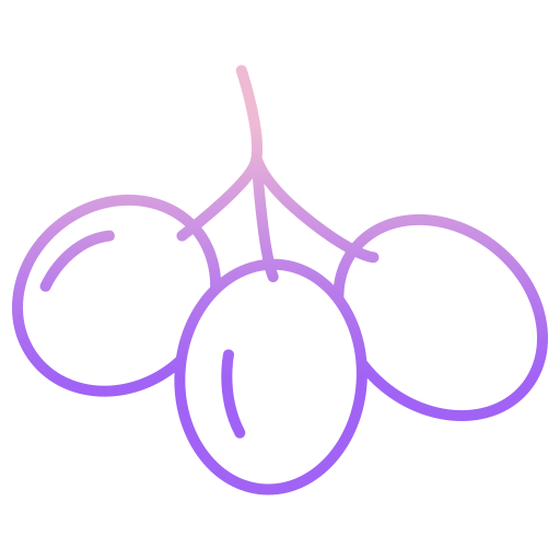 olives Icône gratuit