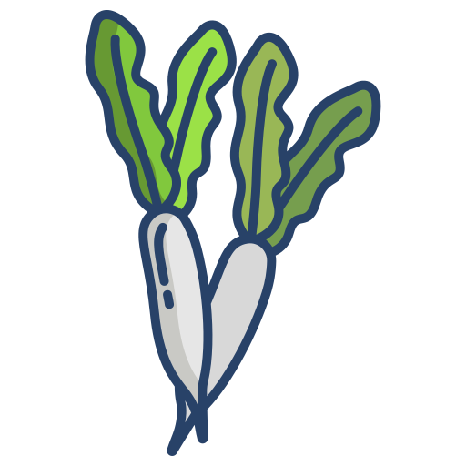 un radis Icône gratuit