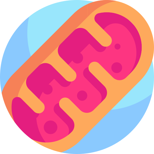 Mitochondria free icon Mitochondria free icon