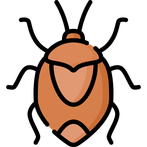 Stink bug - Free animals icons