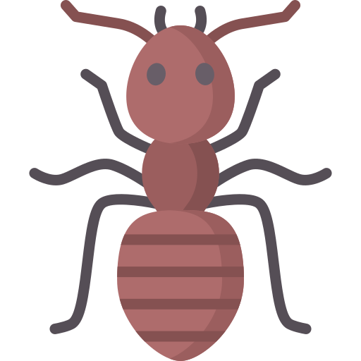 Termite Special Flat icon