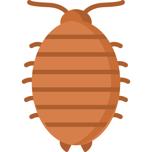 woodlouse 무료 아이콘