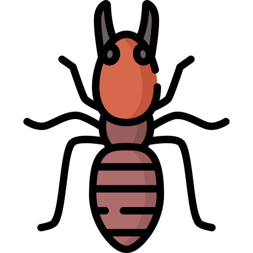 Soldier termite - Free animals icons